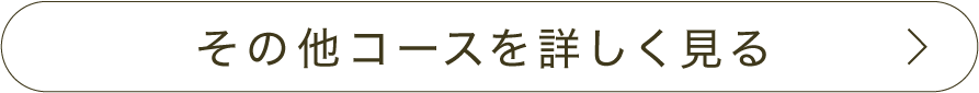 その他コースを詳しく見る